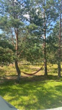 Wsrod Sosen Ferienhaus