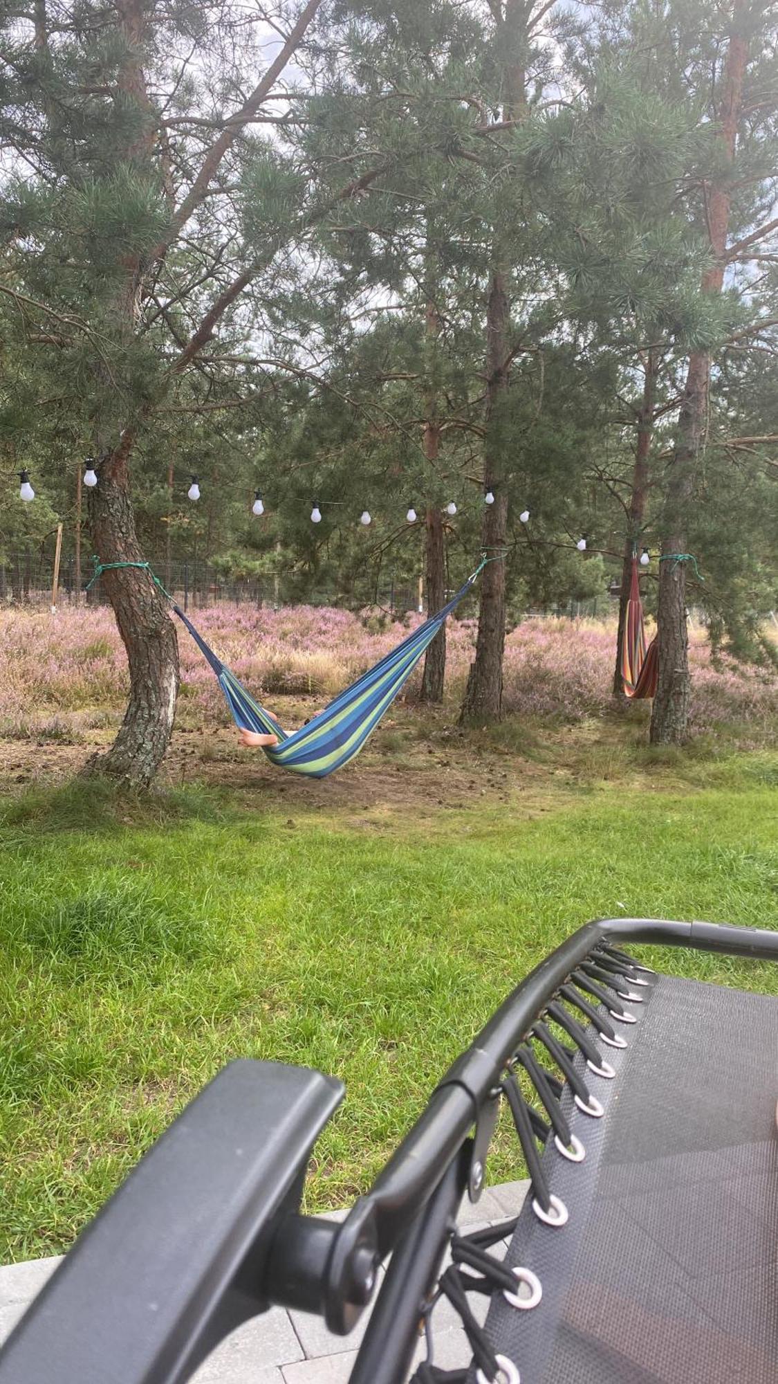 Ferienhaus Wsrod Sosen *